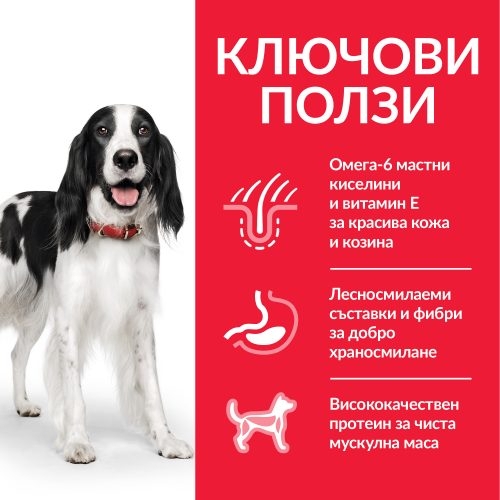  Hills SP Dog Adult Medium Chicken 2.5 кг. - ползи