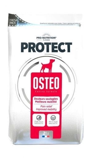 Pro-Nutrition Flatazor Protect Osteo, 2 кг.