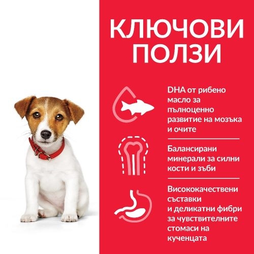 Hills SP Dog Puppy Small&Mini 300гр - агне с ориз - ползи