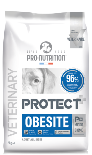 Protect obesite 2 kg